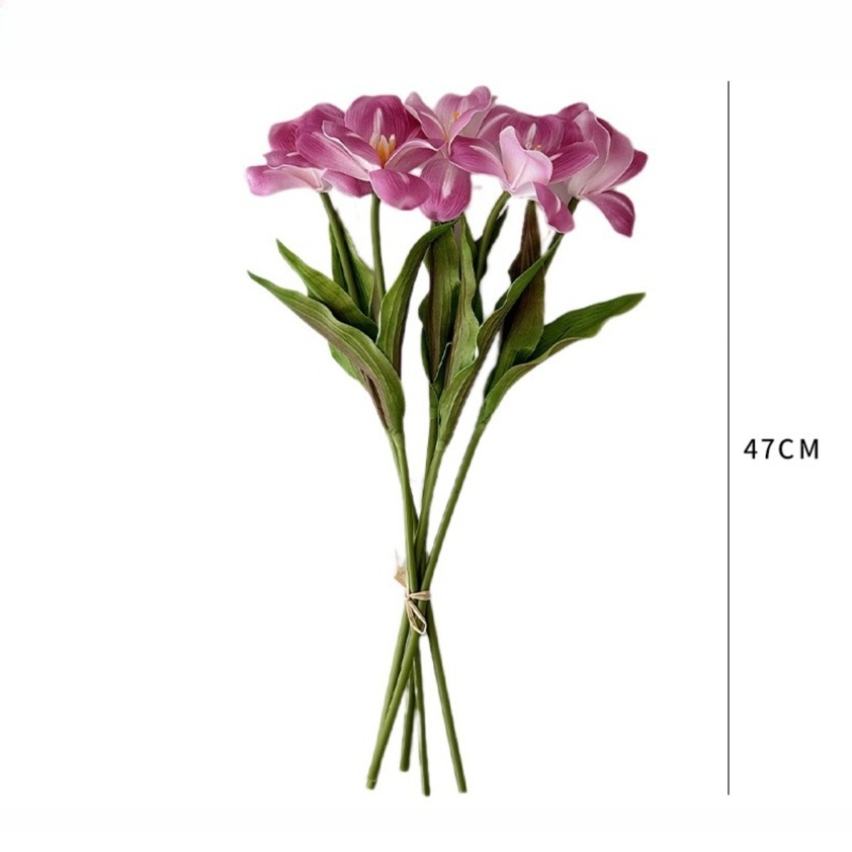 18.5 Inches Single Stem Open T - огляд і ціна Photography Graduation