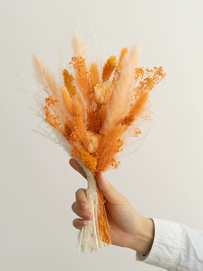 Preserved Rose Rabbit Tail Ree - огляд і ціна Photography Graduation