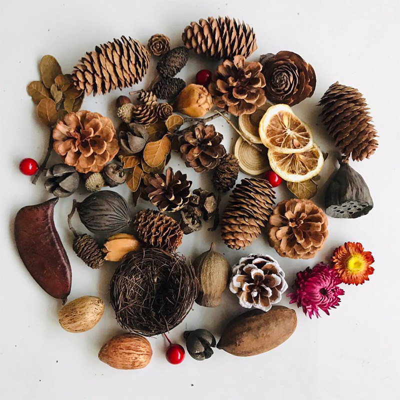 Natural Dried Pinecones Leaves - огляд і ціна Photography Graduation