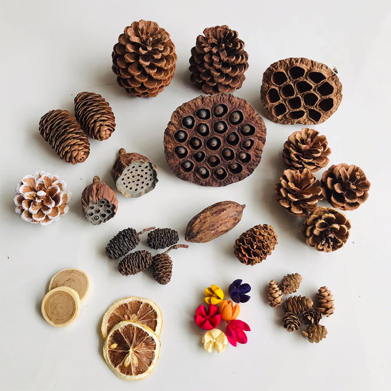 Natural Dried Pinecones Leaves - огляд і ціна Photography Graduation