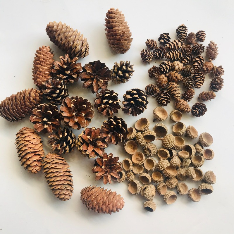 Natural Dried Pinecones Leaves - огляд і ціна Photography Graduation